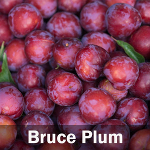 Fruit Cocktail Tree