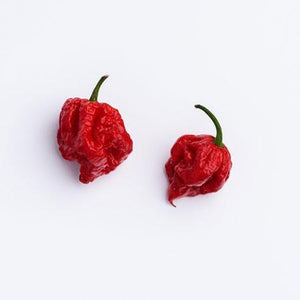 Carolina Reaper Pepper Plant - USDA Organic