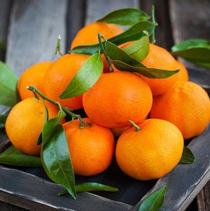Clementine Tree