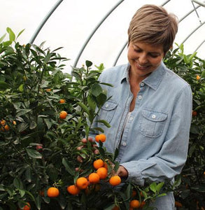 Clementine Tree