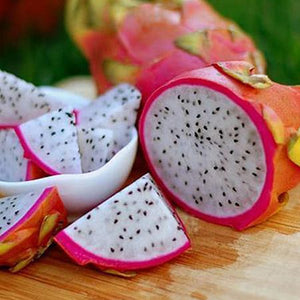 Dragon Fruit Cactus - USDA Organic