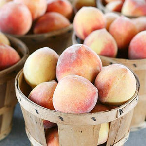 Frost Proof Peach Tree