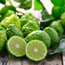 Load image into Gallery viewer, Kaffer &#39;Kieffer&#39; Lime Tree
